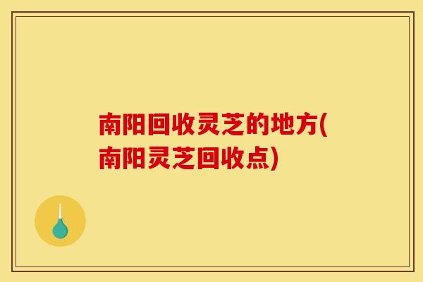 南阳回收灵芝的地方(南阳灵芝回收点)