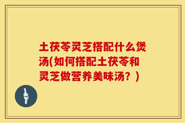 土茯苓灵芝搭配什么煲汤(如何搭配土茯苓和灵芝做营养美味汤?) 土茯苓灵芝搭配什么煲汤(如何搭配土茯苓和灵芝做营养美味汤?)