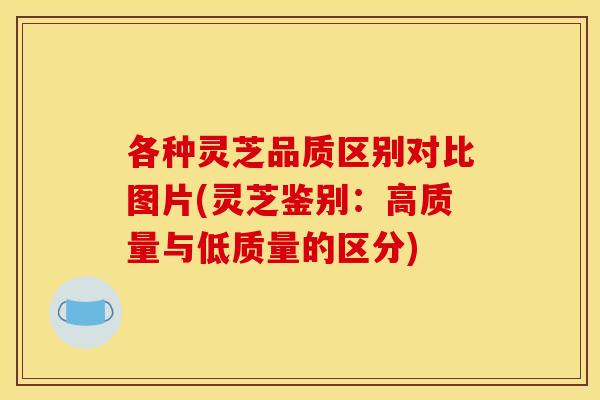 各种灵芝品质区别对比图片(灵芝鉴别：高质量与低质量的区分)