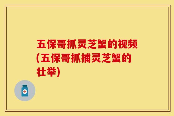 五保哥抓灵芝蟹的视频(五保哥抓捕灵芝蟹的壮举)