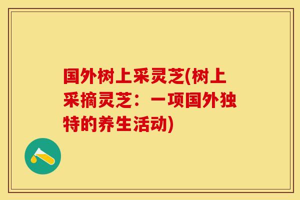 国外树上采灵芝(树上采摘灵芝:一项国外独特的养生活动) 国外树上采灵芝(树上采摘灵芝:一项国外独特的养生活动)