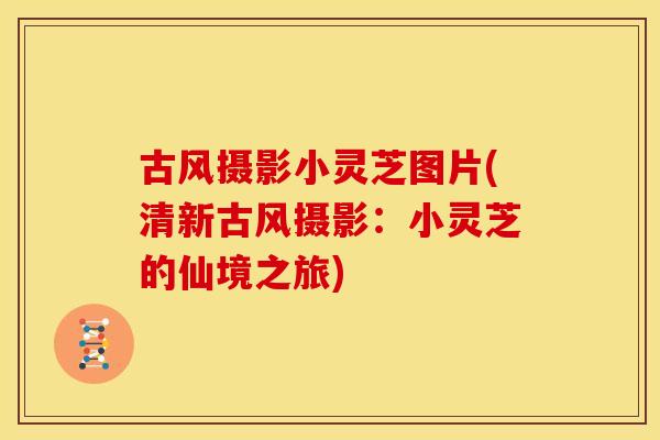 古风摄影小灵芝图片(清新古风摄影:小灵芝的仙境之旅) 古风摄影小灵芝图片(清新古风摄影:小灵芝的仙境之旅)