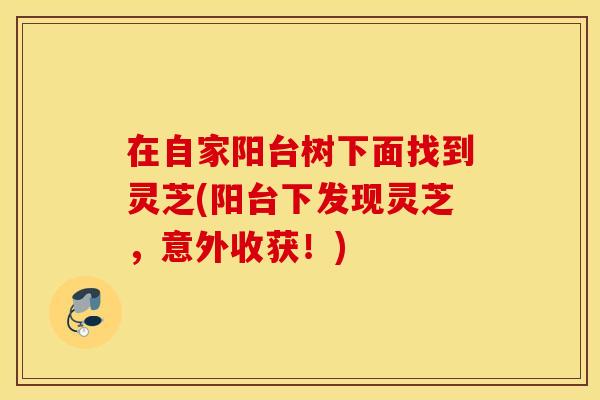 在自家阳台树下面找到灵芝(阳台下发现灵芝,意外收获!) 在自家阳台树下面找到灵芝(阳台下发现灵芝,意外收获!)