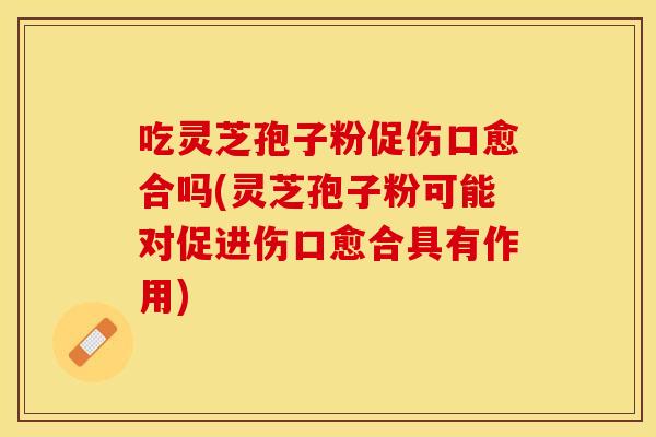 吃灵芝孢子粉促伤口愈合吗(灵芝孢子粉可能对促进伤口愈合具有作用)