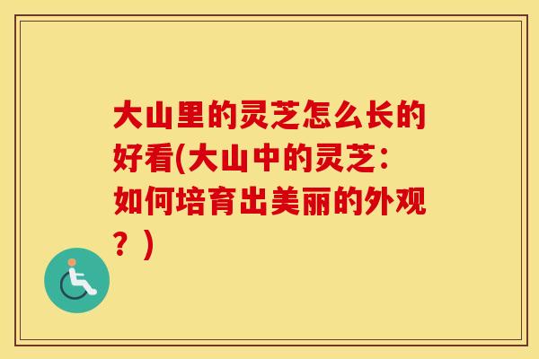 大山里的灵芝怎么长的好看(大山中的灵芝：如何培育出美丽的外观？)