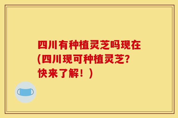 四川有种植灵芝吗现在(四川现可种植灵芝？快来了解！)