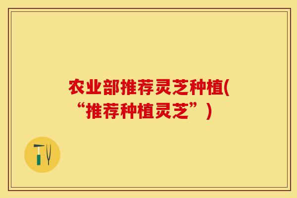 农业部推荐灵芝种植(“推荐种植灵芝”) 农业部推荐灵芝种植(“推荐种植灵芝”)