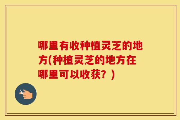 哪里有收种植灵芝的地方(种植灵芝的地方在哪里可以收获？)