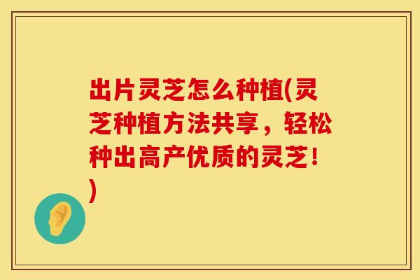 出片灵芝怎么种植(灵芝种植方法共享，轻松种出高产优质的灵芝！)