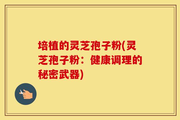 培植的灵芝孢子粉(灵芝孢子粉：健康调理的秘密武器)
