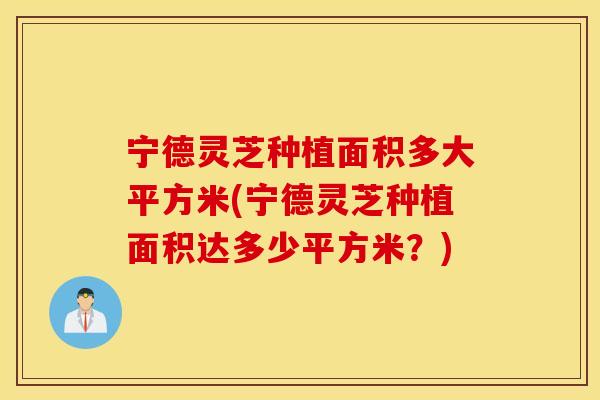 宁德灵芝种植面积多大平方米(宁德灵芝种植面积达多少平方米？)