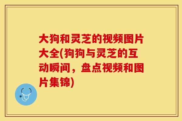 大狗和灵芝的视频图片大全(狗狗与灵芝的互动瞬间，盘点视频和图片集锦)