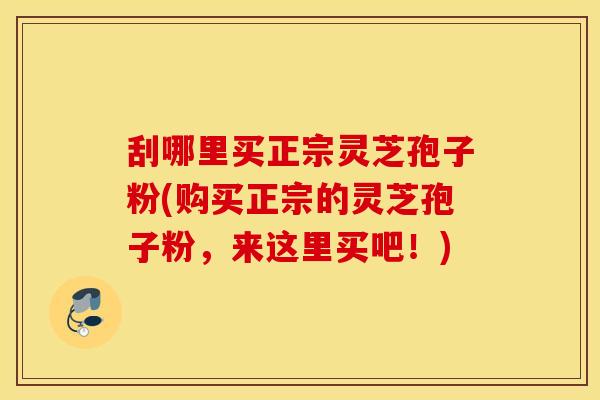 刮哪里买正宗灵芝孢子粉(购买正宗的灵芝孢子粉，来这里买吧！)