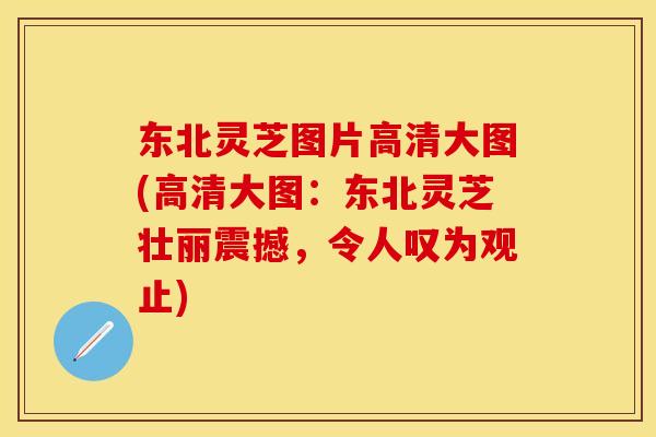 东北灵芝图片高清大图(高清大图：东北灵芝壮丽震撼，令人叹为观止)