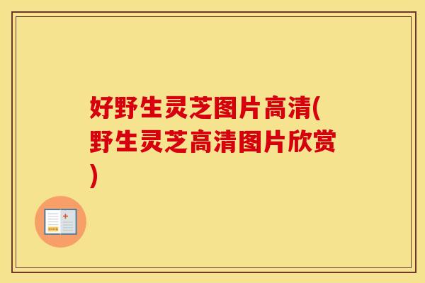 好野生灵芝图片高清(野生灵芝高清图片欣赏)