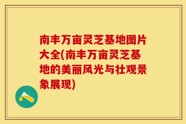 南丰万亩灵芝基地图片大全(南丰万亩灵芝基地的美丽风光与壮观景象展现)