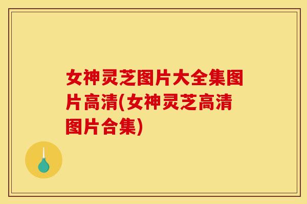女神灵芝图片大全集图片高清(女神灵芝高清图片合集)