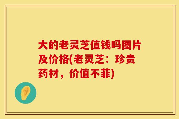 大的老灵芝值钱吗图片及价格(老灵芝：珍贵药材，价值不菲)