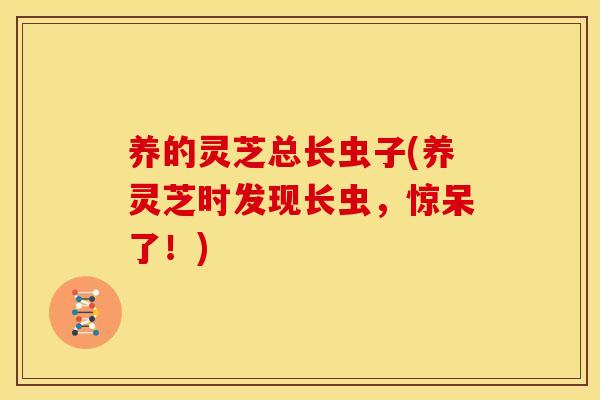 养的灵芝总长虫子(养灵芝时发现长虫，惊呆了！)