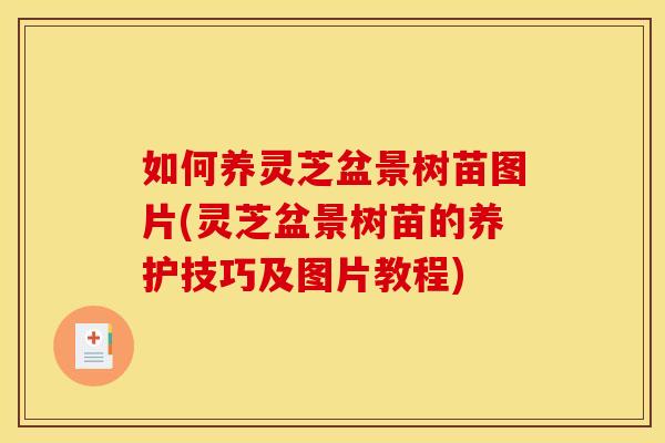 如何养灵芝盆景树苗图片(灵芝盆景树苗的养护技巧及图片教程)