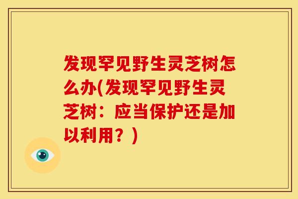 发现罕见野生灵芝树怎么办(发现罕见野生灵芝树：应当保护还是加以利用？)