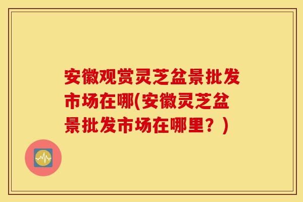安徽观赏灵芝盆景批发市场在哪(安徽灵芝盆景批发市场在哪里？)