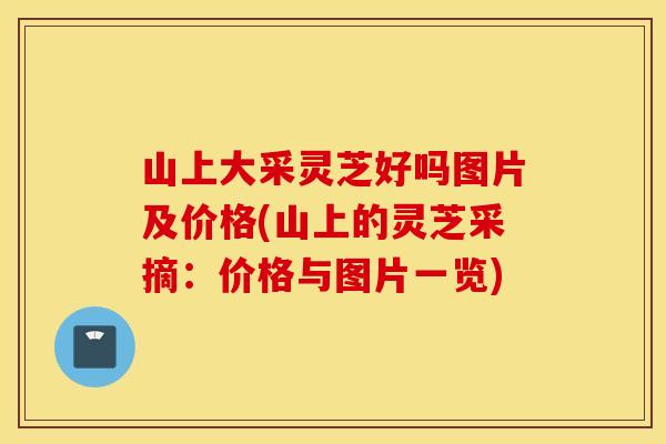 山上大采灵芝好吗图片及价格(山上的灵芝采摘：价格与图片一览)