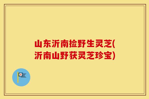 山东沂南捡野生灵芝(沂南山野获灵芝珍宝)