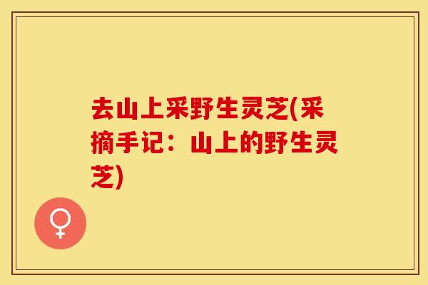 去山上采野生灵芝(采摘手记：山上的野生灵芝)