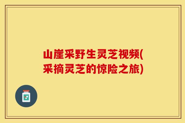 山崖采野生灵芝视频(采摘灵芝的惊险之旅)