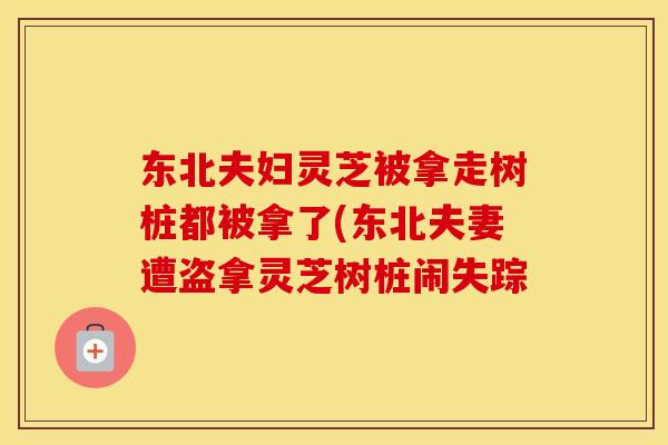 东北夫妇灵芝被拿走树桩都被拿了(东北夫妻遭盗拿灵芝树桩闹失踪