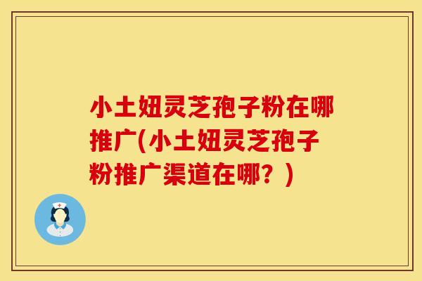 小土妞灵芝孢子粉在哪推广(小土妞灵芝孢子粉推广渠道在哪？)