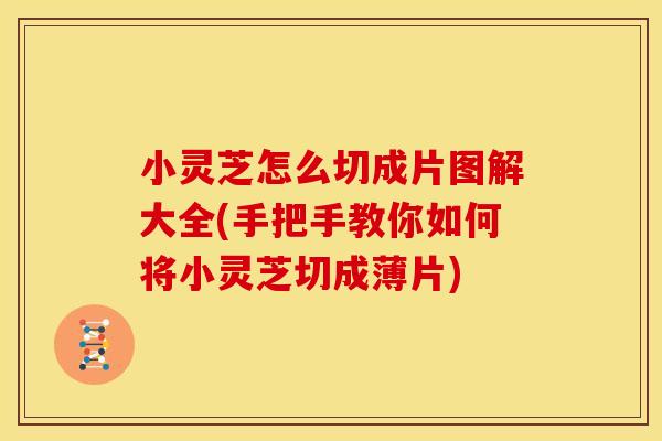 小灵芝怎么切成片图解大全(手把手教你如何将小灵芝切成薄片) 小灵芝怎么切成片图解大全(手把手教你如何将小灵芝切成薄片)