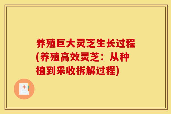 养殖巨大灵芝生长过程(养殖高效灵芝：从种植到采收拆解过程)