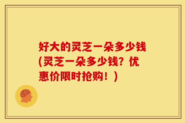 好大的灵芝一朵多少钱(灵芝一朵多少钱？优惠价限时抢购！)