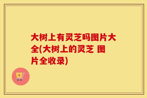 大树上有灵芝吗图片大全(大树上的灵芝 图片全收录)