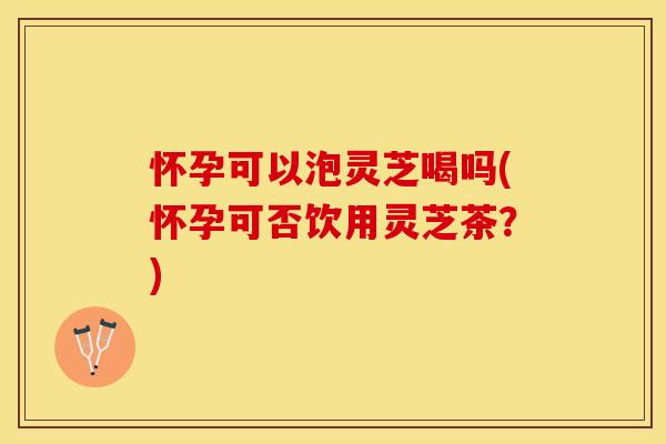 怀孕可以泡灵芝喝吗(怀孕可否饮用灵芝茶？)