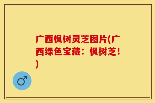广西枫树灵芝图片(广西绿色宝藏：枫树芝！)