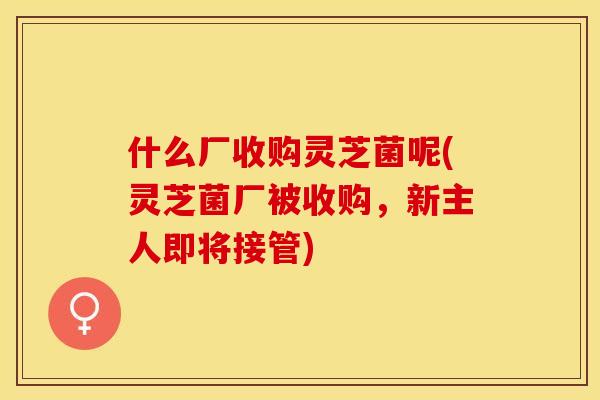 什么厂收购灵芝菌呢(灵芝菌厂被收购，新主人即将接管)