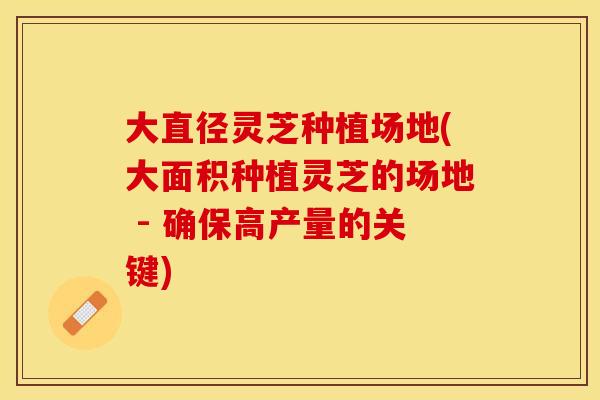 大直径灵芝种植场地(大面积种植灵芝的场地 - 确保高产量的关键)