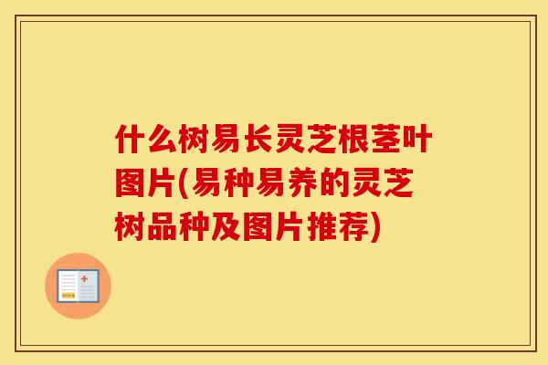 什么树易长灵芝根茎叶图片(易种易养的灵芝树品种及图片推荐)