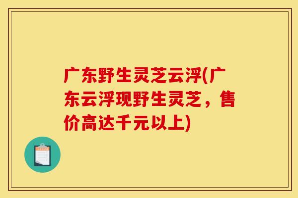 广东野生灵芝云浮(广东云浮现野生灵芝，售价高达千元以上)