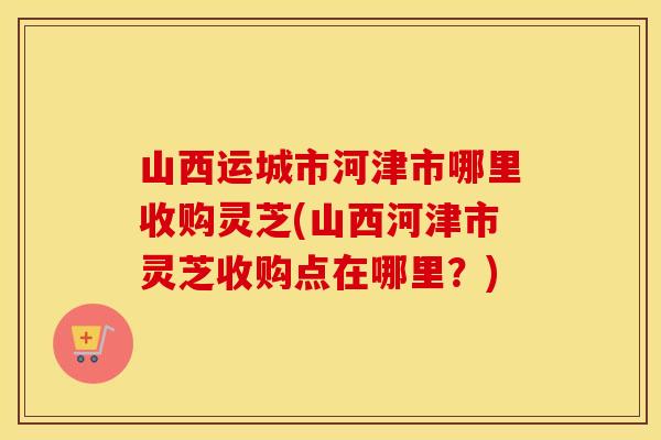 山西运城市河津市哪里收购灵芝(山西河津市灵芝收购点在哪里？)