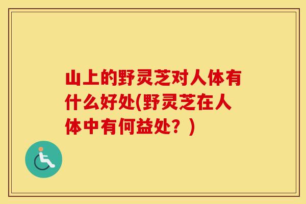 山上的野灵芝对人体有什么好处(野灵芝在人体中有何益处？)