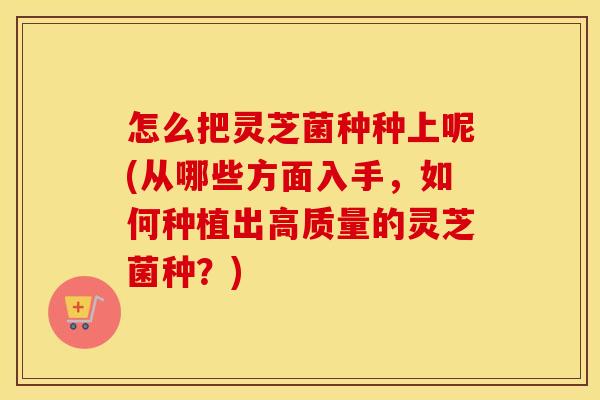 怎么把灵芝菌种种上呢(从哪些方面入手，如何种植出高质量的灵芝菌种？)
