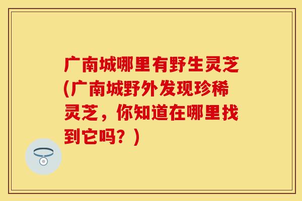 广南城哪里有野生灵芝(广南城野外发现珍稀灵芝,你知道在哪里找到它吗?) 广南城哪里有野生灵芝(广南城野外发现珍稀灵芝,你知道在哪里找到它吗?)