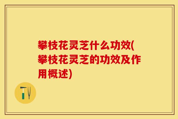 攀枝花灵芝什么功效(攀枝花灵芝的功效及作用概述)