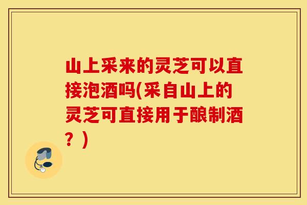 山上采来的灵芝可以直接泡酒吗(采自山上的灵芝可直接用于酿制酒？)