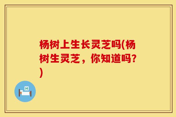 杨树上生长灵芝吗(杨树生灵芝，你知道吗？)