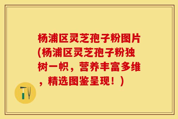 杨浦区灵芝孢子粉图片(杨浦区灵芝孢子粉独树一帜,营养丰富多维,精选图鉴呈现!) 杨浦区灵芝孢子粉图片(杨浦区灵芝孢子粉独树一帜,营养丰富多维,精选图鉴呈现!)
